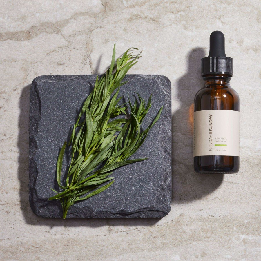 Treatment * | Tea Tree Essential Oil Sunday || Sunday Bestsellers